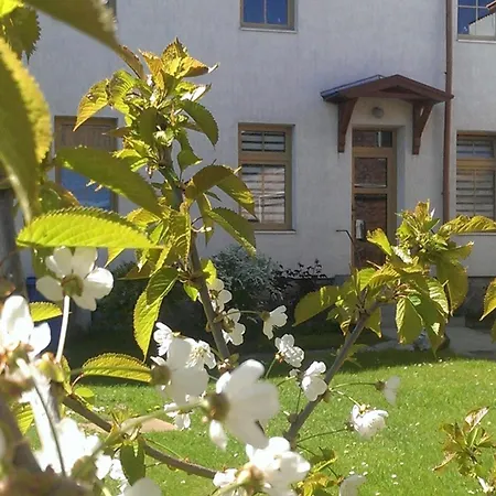 Apartment Otto Sassnitz